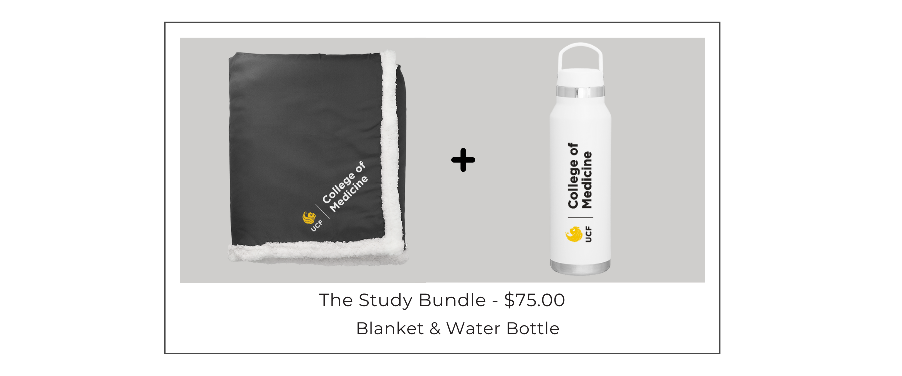 StudyBundle